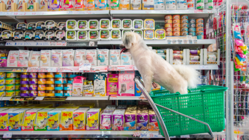 Could China’s pet food industry hit billion by 2025?