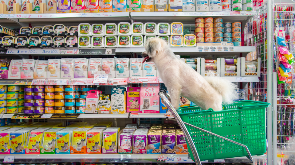 Could China’s pet food industry hit $33 billion by 2025?