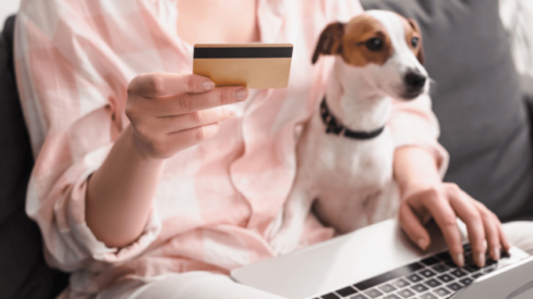 Which are the most popular online pet businesses in Italy?