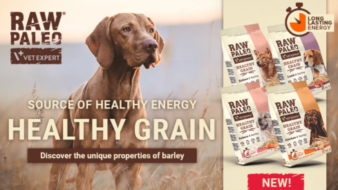 RAW PALEO HEALTHY GRAIN