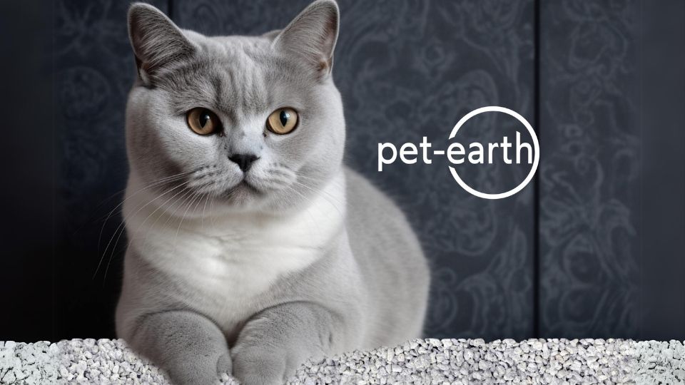 pet-earth GmbH