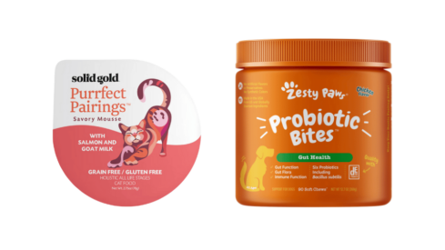 3 out of 10 British dog owners do not know what they’re feeding their pets