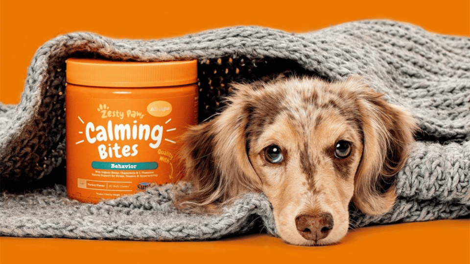 H&H Group’s pet portfolio jumps 30% in the year to date