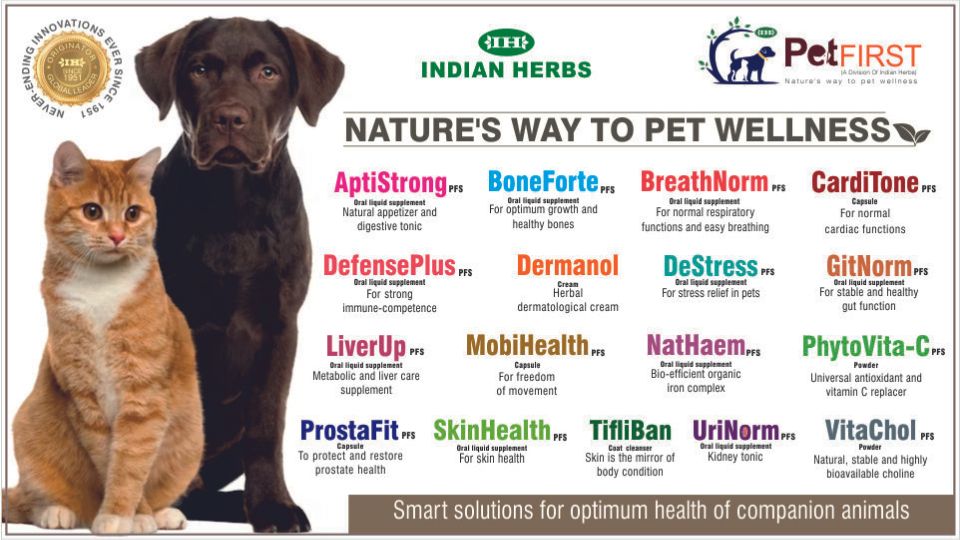 Nature’s Way to Pet Wellness
