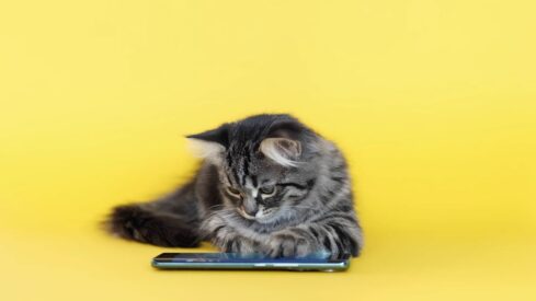 The 10 most-read stories of 2023