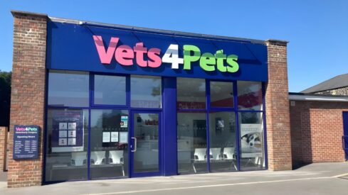 The importance of clinical governance in the vet sector