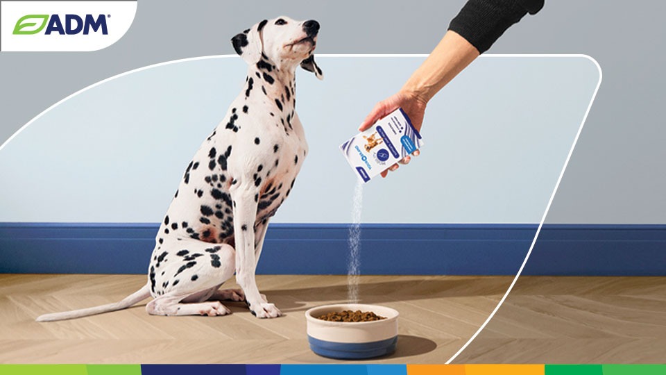 Elevate pet wellbeing with our functional turnkey nutrition solutions