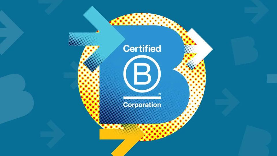 These are the new B Corp-certified pet companies