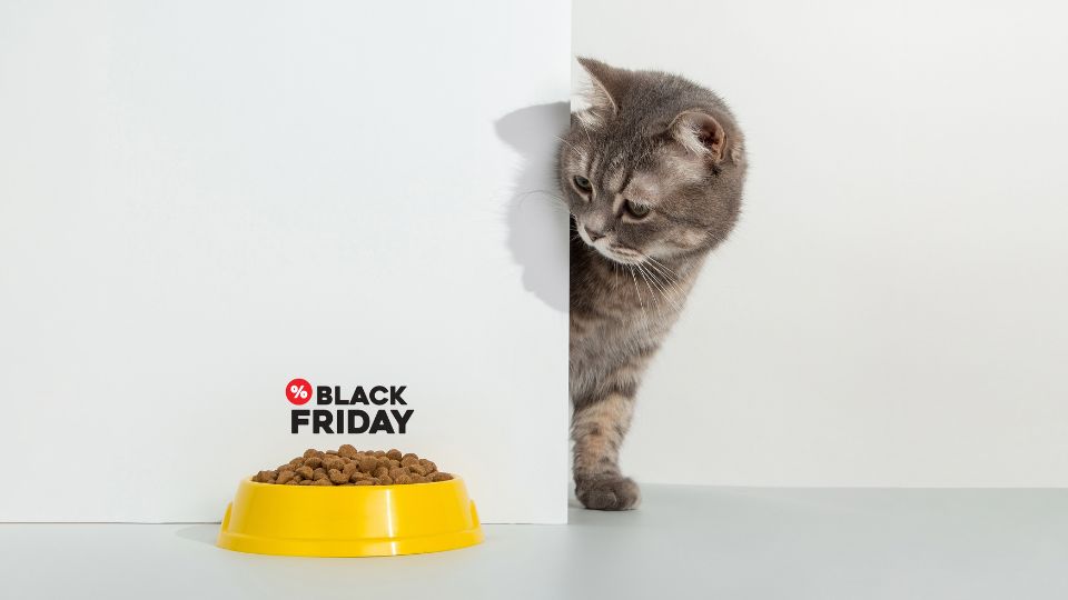 How pet food fared in Black Friday week