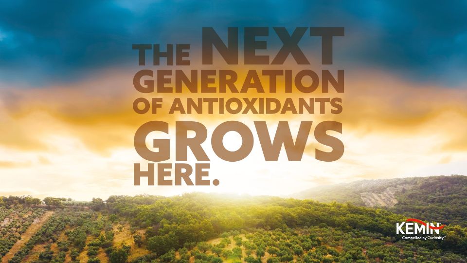 The next generation of natural antioxidants