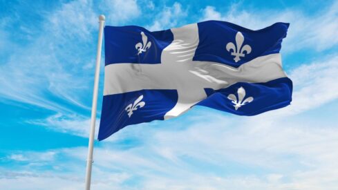 Québec bans 4 cosmetic surgeries on pets