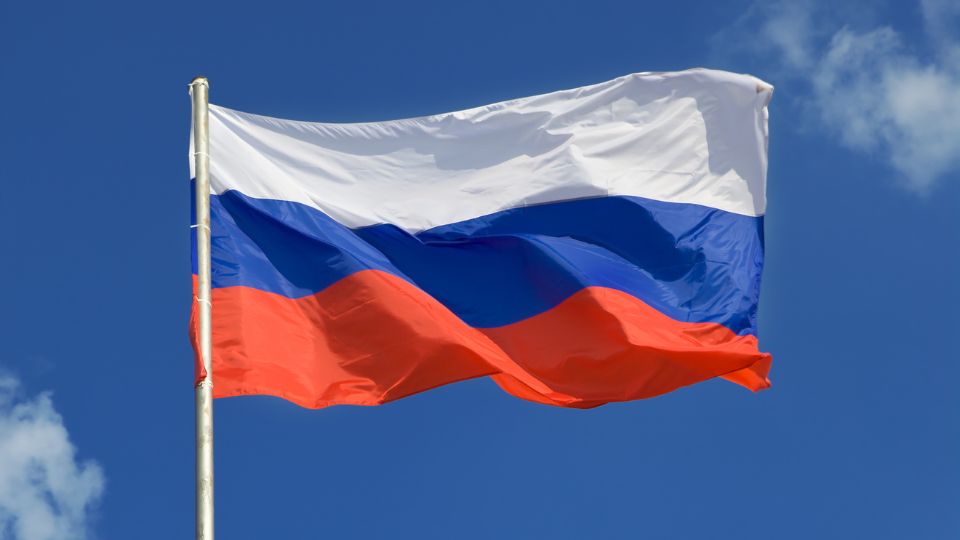 Analysis: Russia restricts import of 4 European pet food brands