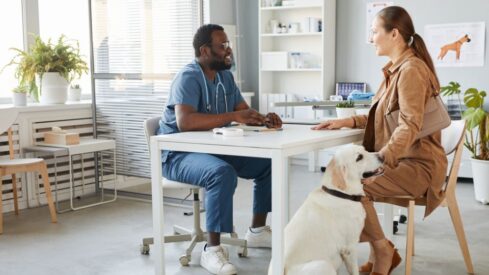 US pet owners prefer face-to-face veterinary visits