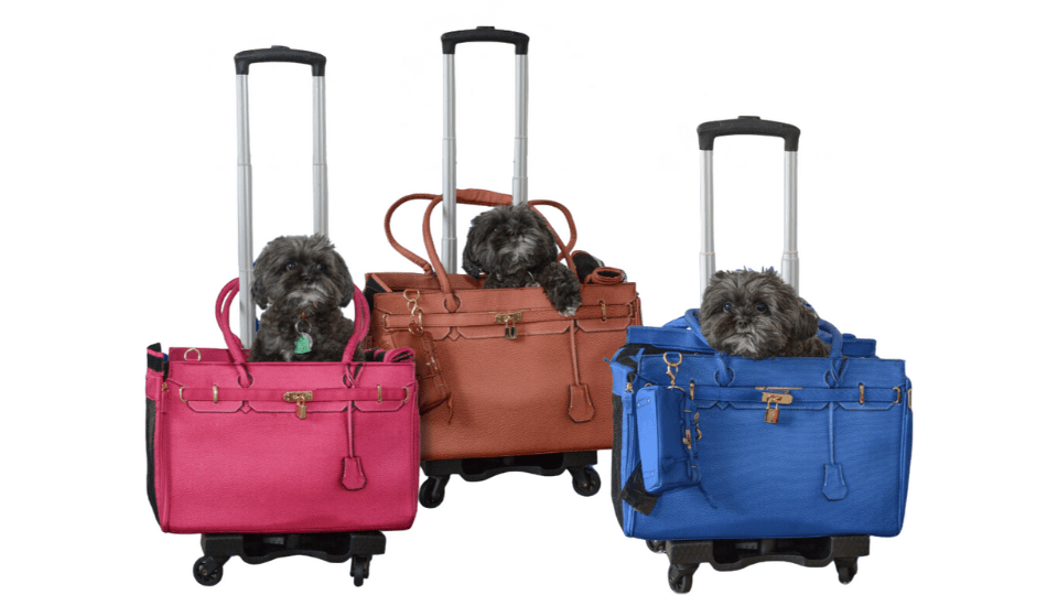 Discover the perfect pet carrier for small pet with big style