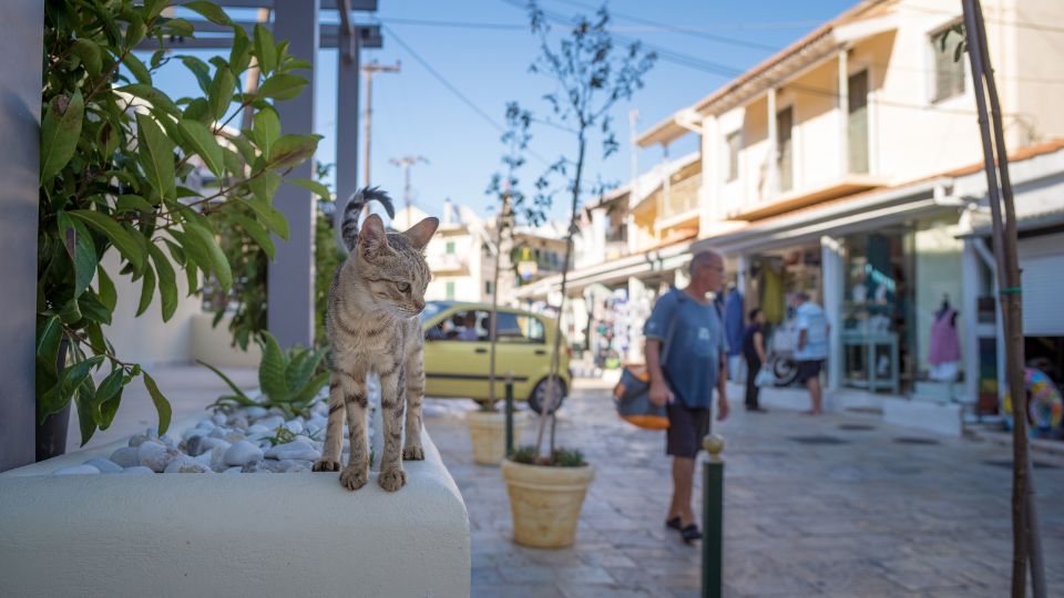 Digging down into pet ownership across Greece