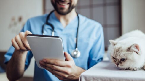 Almost 40% of vets are using AI tools to gain a competitive edge