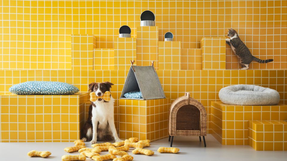 IKEA launches new pet accessories collection
