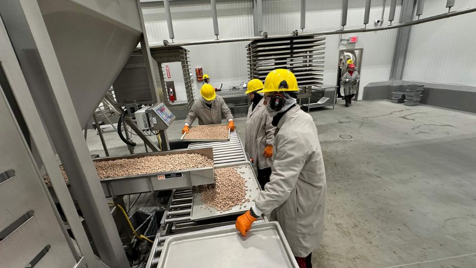 Industry round-up: latest efforts by pet food players to fuel production capabilities
