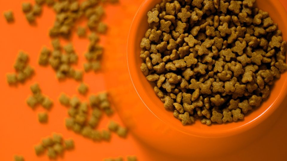 Is torula yeast the next core protein in pet food formulation?