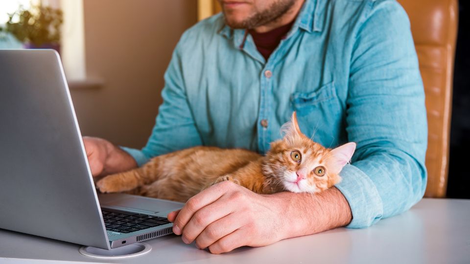 Online pet food shopping trends around the world