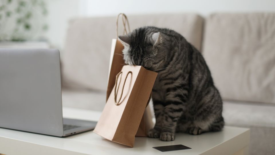 Pet marketplaces: the place to be?