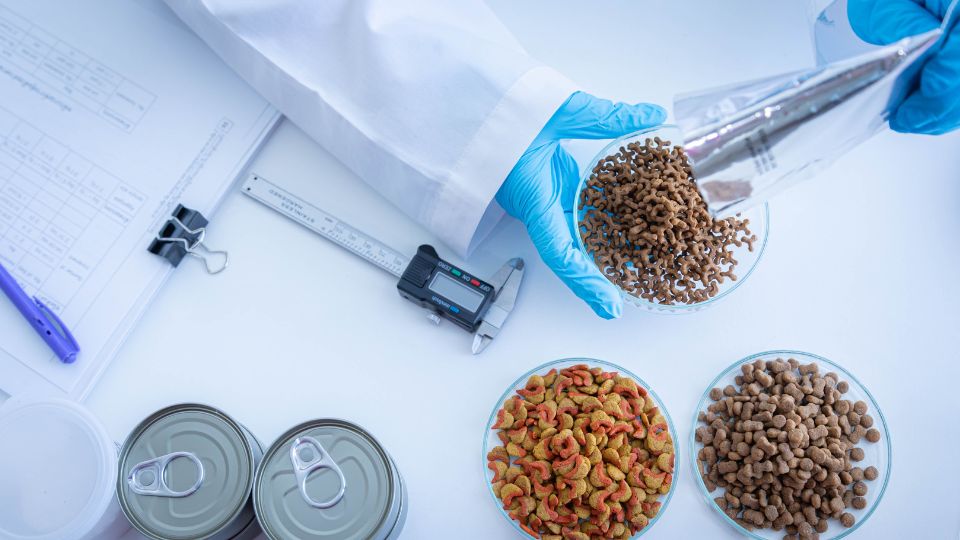 Feed additives: the complex re-evaluation process in the EU