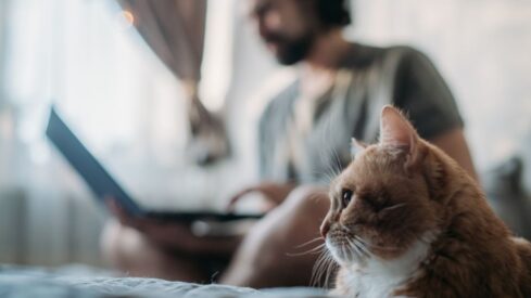 How pet suppliers can improve their profit margins with Amazon