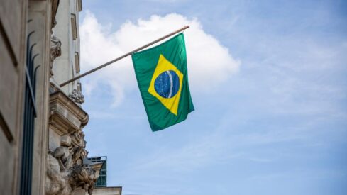 Brazilian pet industry hits $13.8 billion in 2023