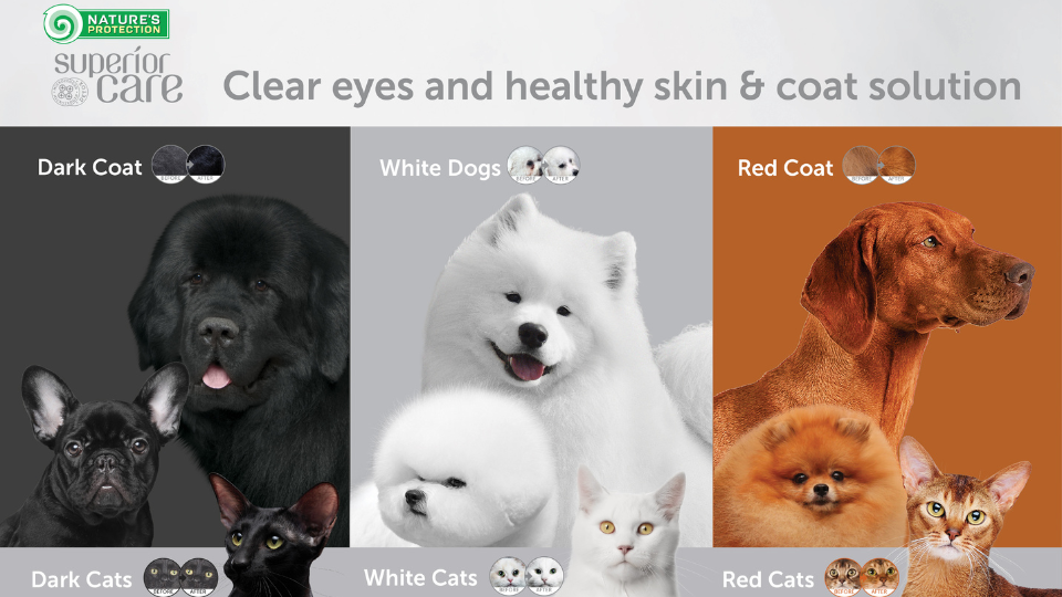 Superior care: Tailored solutions for coat colors