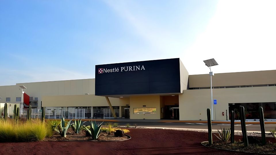 What we know about Purina’s new investment in Mexico