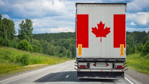 Canada to update process to register imported pet supplements