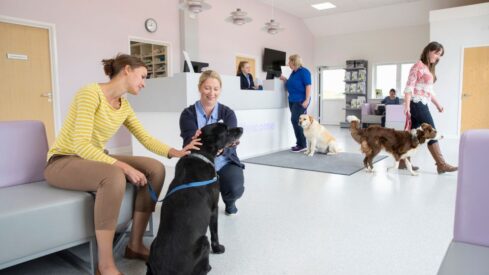 Will the UK impose maximum vet prescription fees?