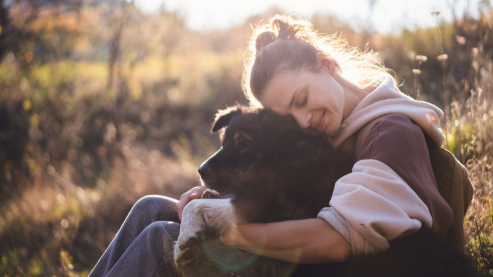 4 out of 10 British owners are in favor of work leave to take care of their sick dogs