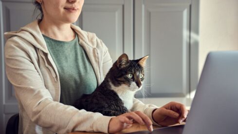 New pet telemedicine law in Florida comes into effect in July