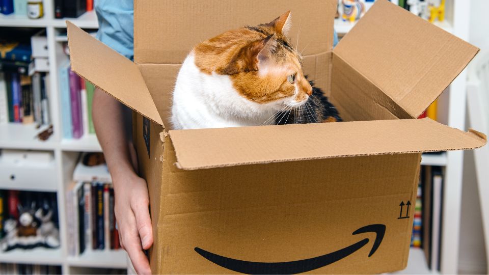 The role of pet supplies in Amazon Prime Day 2024
