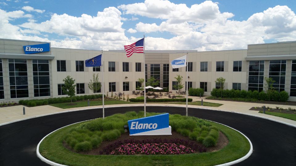Elanco sells aqua business to Merk Animal Health