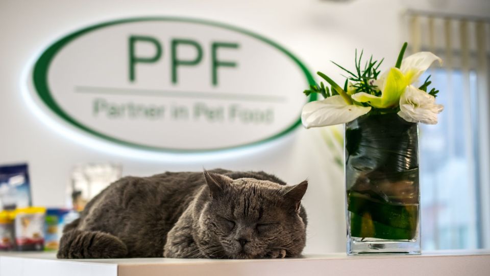 What we know about Partner in Pet Food’s new majority stakeholder