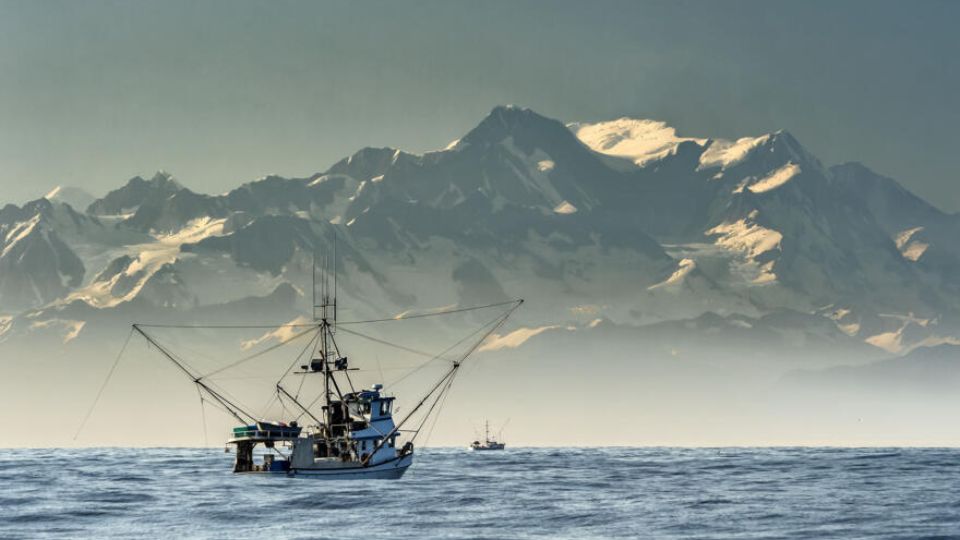 How the Alaskan seafood sector wants to expand footprint in pet food market