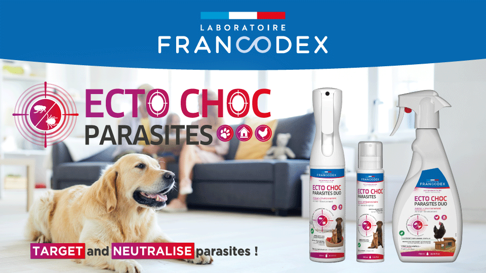 Target and neutralise fleas, ticks, mosquitoes, sandflies and flies with Ecto Choc Parasites