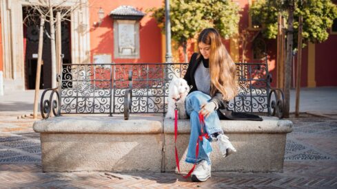 What we can learn from profiling Spain’s pet parents