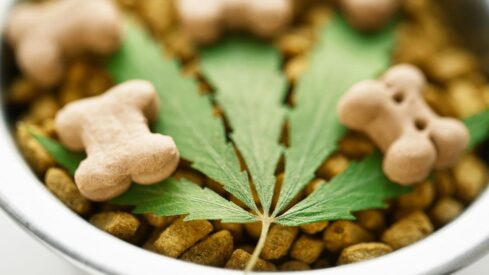 Australia: campaign challenges hemp restrictions in pet food