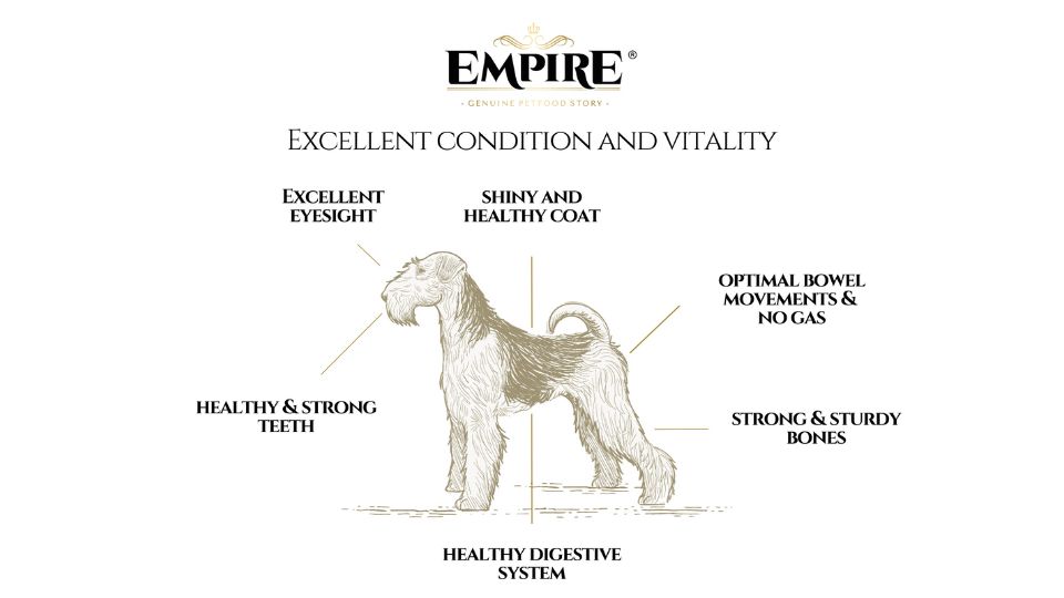 A graphic featuring a dog at the center, surrounded by information highlighting the benefits of Empire Pet Food.