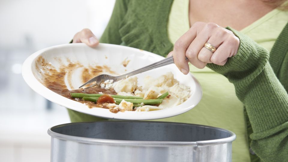 Analysis: a new life for food waste in pet food?