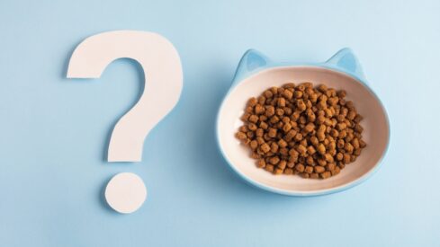 Does private label pet food meet consumer expectations?