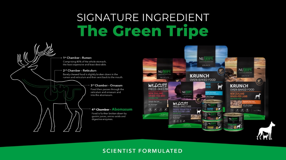 NUTRIPE: Nature-inspired pet nutrition powered by New Zealand green tripe excellence