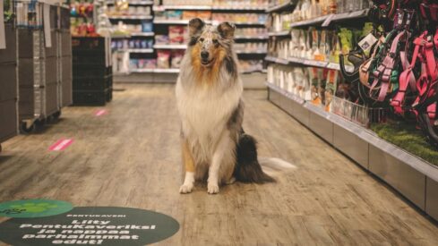 Leading pet retail in the Nordics: Insights from Musti’s Chief Commercial Officer