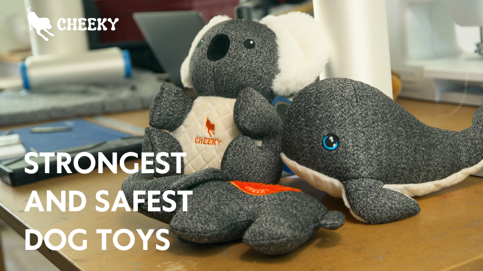 Cheeky dog toys - the strongest and safest dog toy