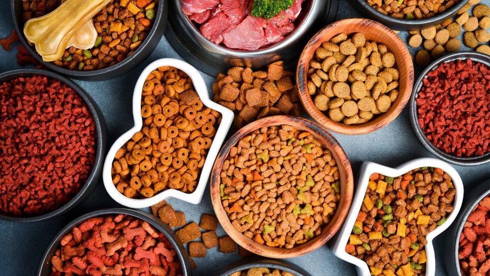 Expired US pet ingredient review creates uncertainty – and opportunity