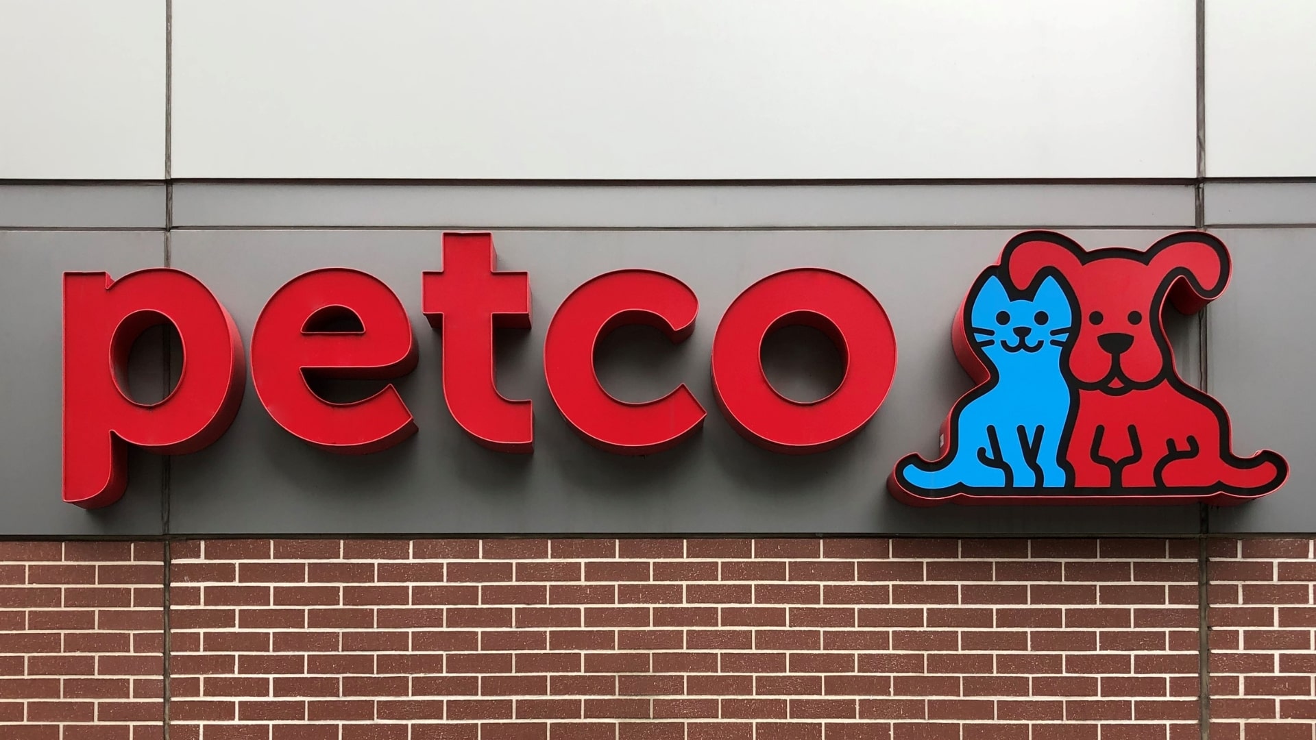 Petco earnings show signs of strengthening amid losses