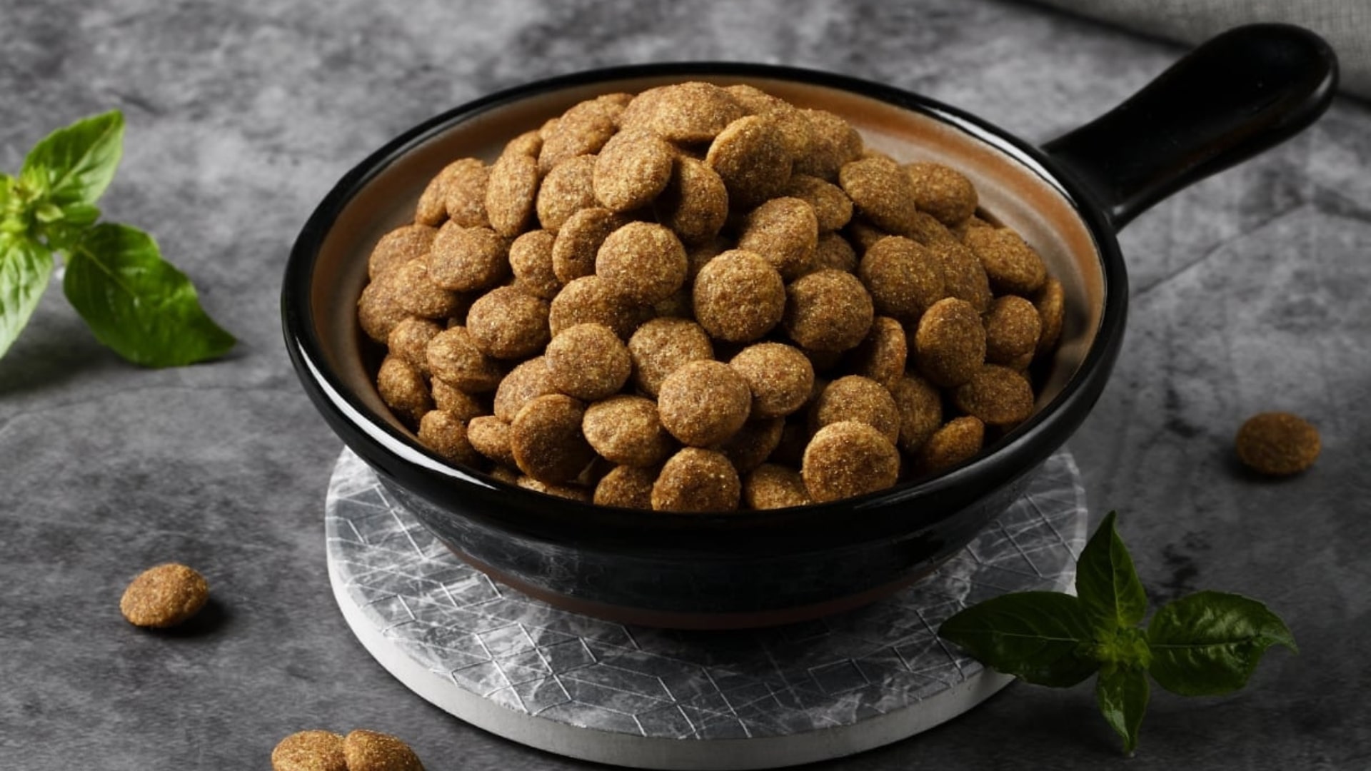 European expansion boosts Thai pet food manufacturer’s earnings